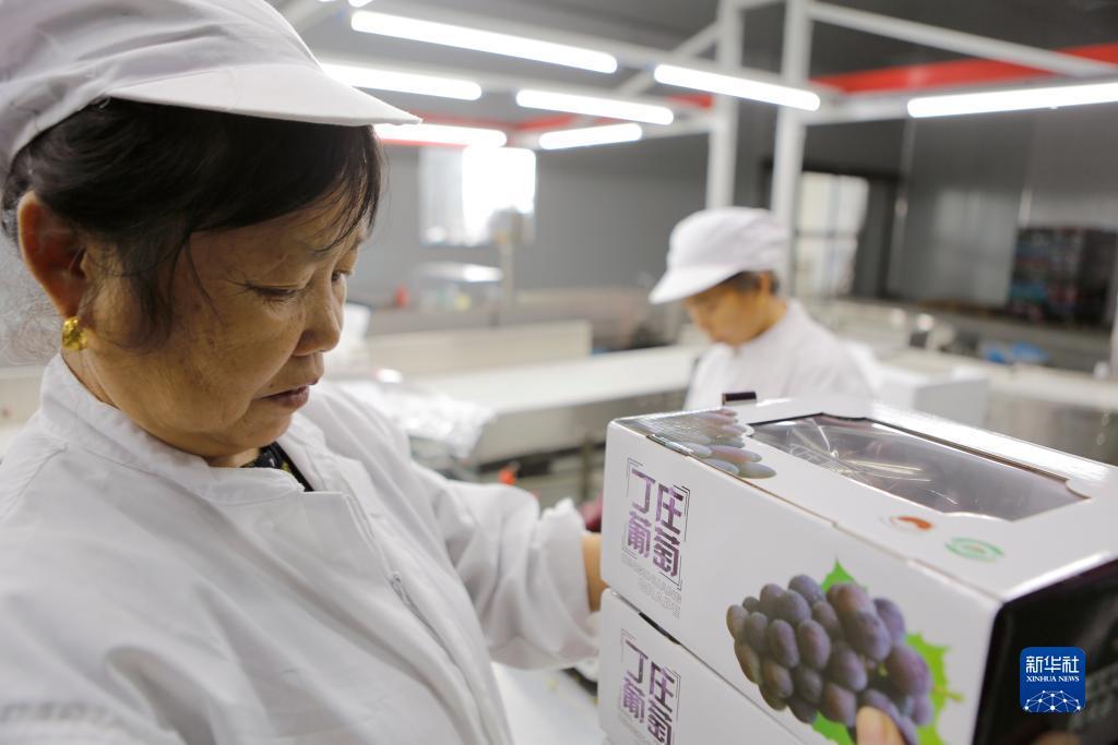 天天牌棋app官网